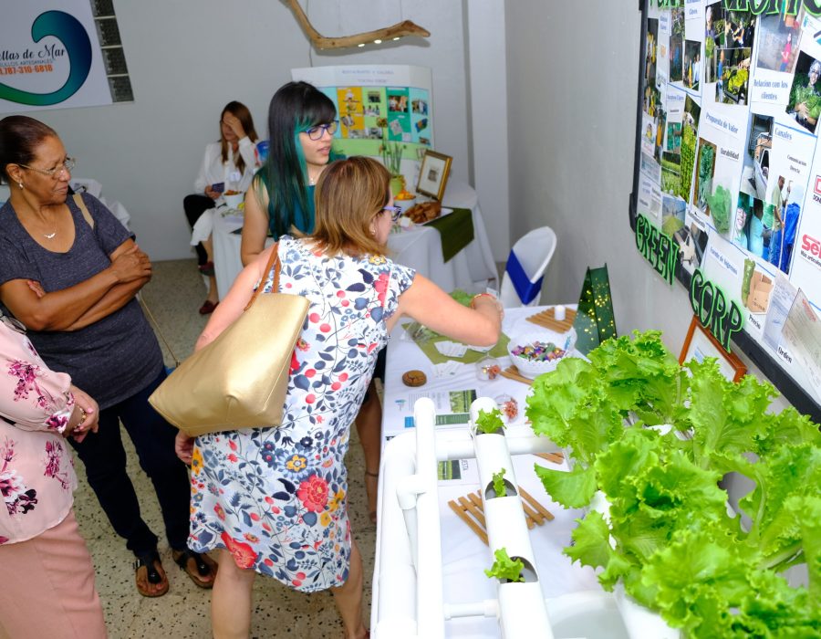 Implementación segunda versión del Proyecto “Potenciando el Emprendimiento Innovador”.