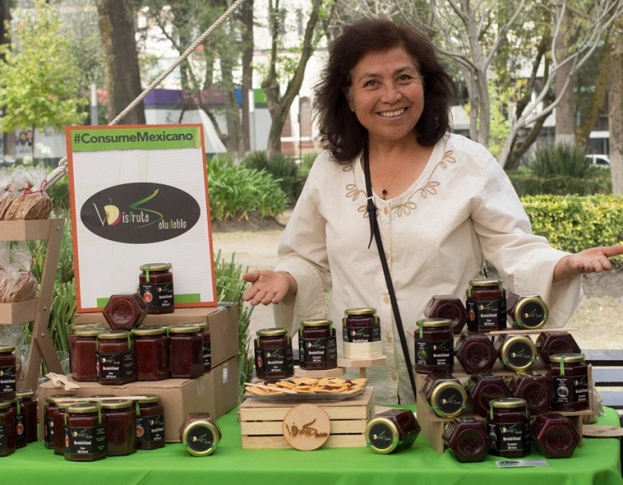 Proyecto VIVE y Ambientes de Paz y Desarrollo colaboran en el empoderamiento de las mujeres Toluqueñas