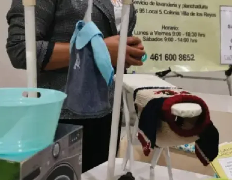 Mi pitch de negocio benefició a mujeres del municipio de Celaya en Guanajuato.